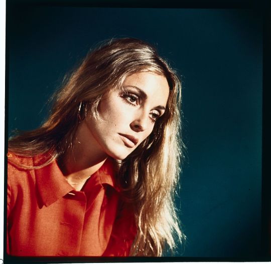 Sharon Tate est décédée en 1968 | Getty Images