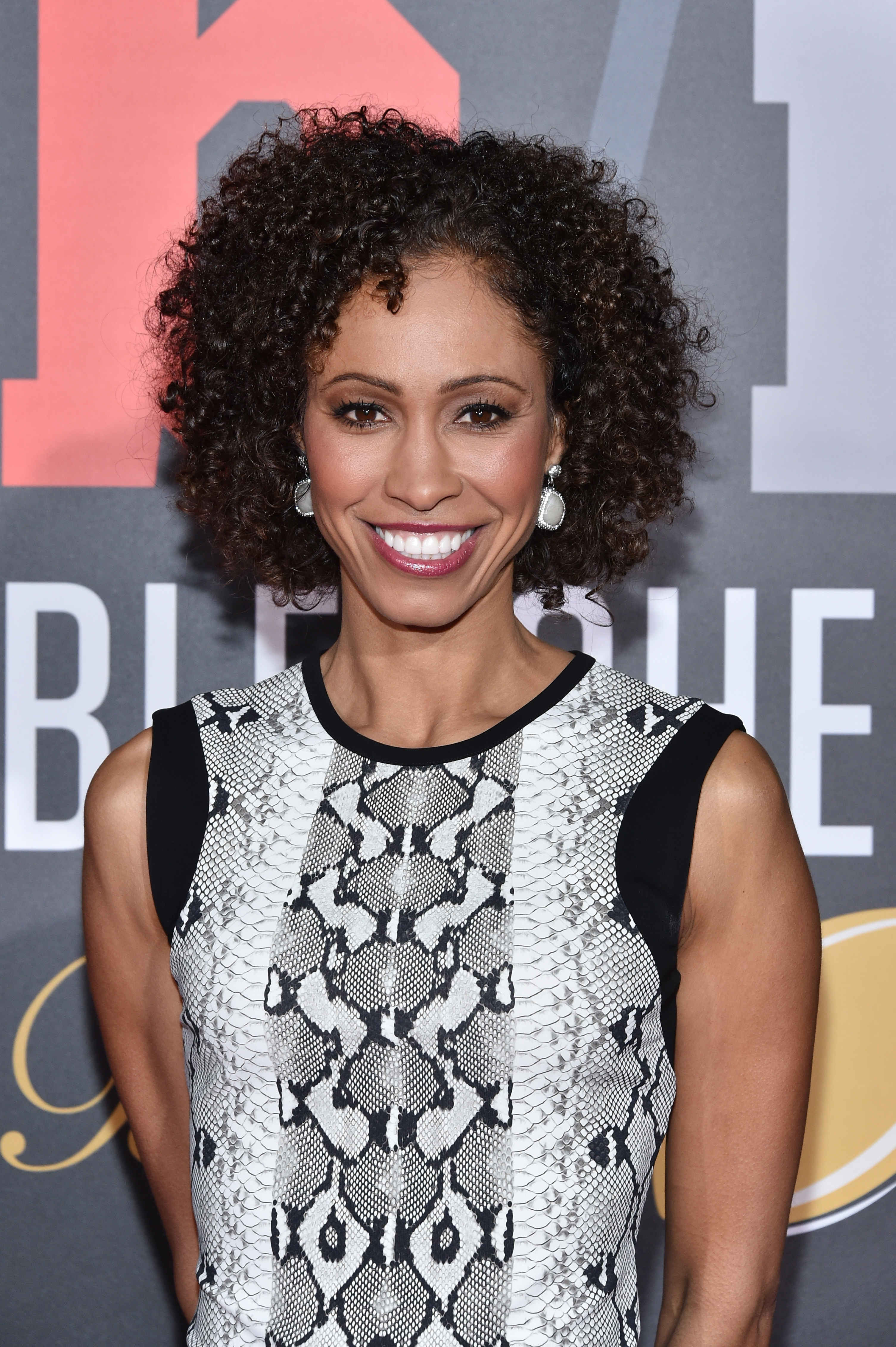 Sage Steele at Bleacher Report's Bleacher Ball presented by go90 on February 5, 2016, in San Francisco, California. | Source: Getty Images