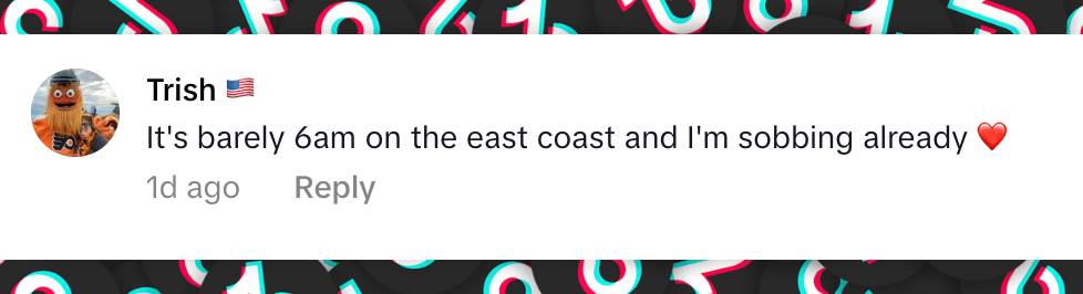 A netizen's comment on Robert Irwin, dated November 17, 2025 | Source: TikTok/@robertirwin