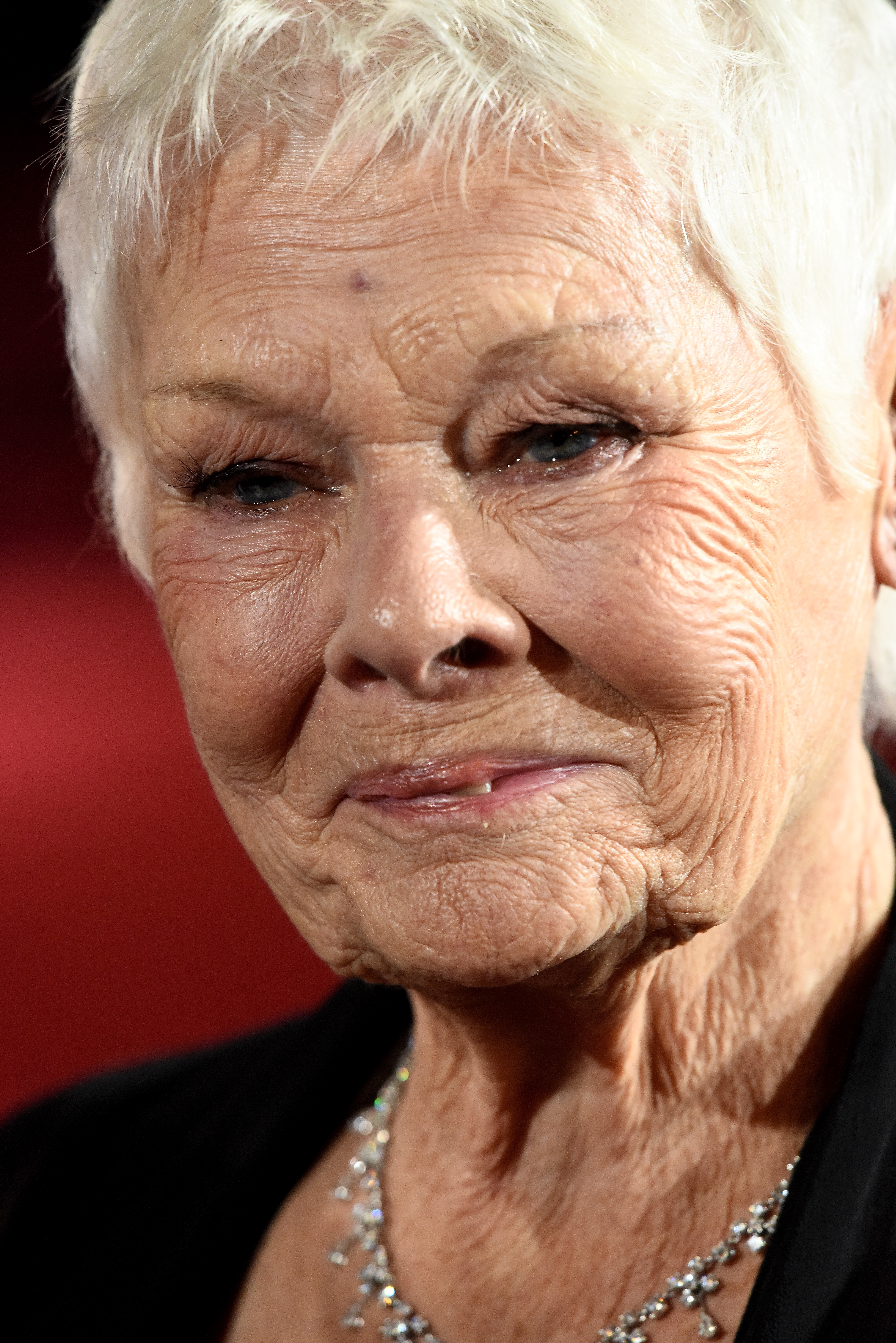 Dame Judi Dench attends the 'Murder On The Orient Express' World Premiere at Royal Albert Hall on November 2, 2017 in London, England. | Source: Getty Images