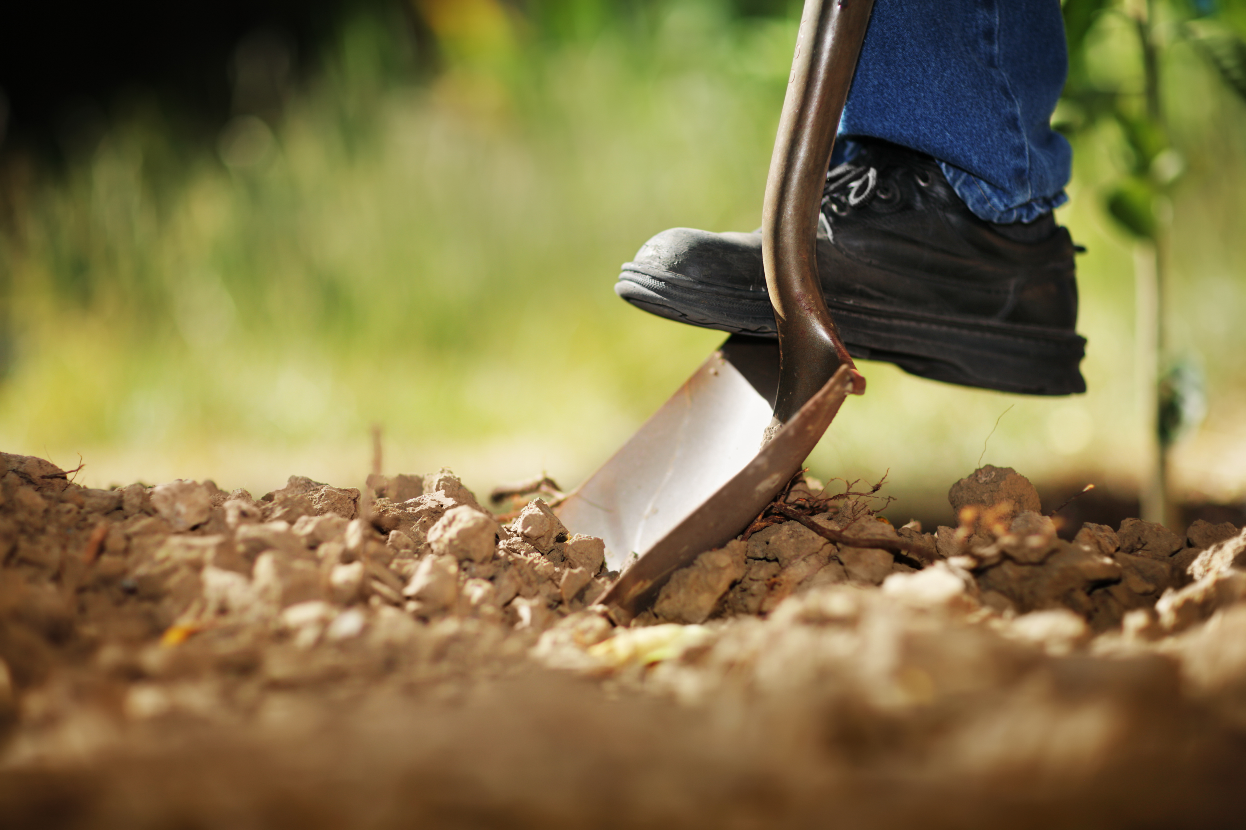 Person digging soil with a shovel | Source: Shutterstock