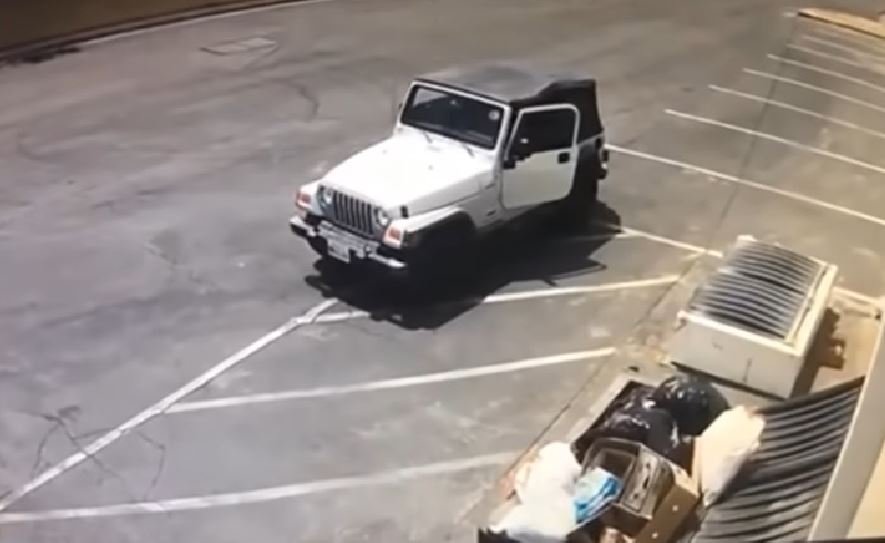 La mujer botó a los cachorros con vida en un basurero | Foto: YouTube / RivCOanimalsPIO La mujer botó a los cachorros con vida en un basurero | Foto: YouTube / RivCOanimalsPIO