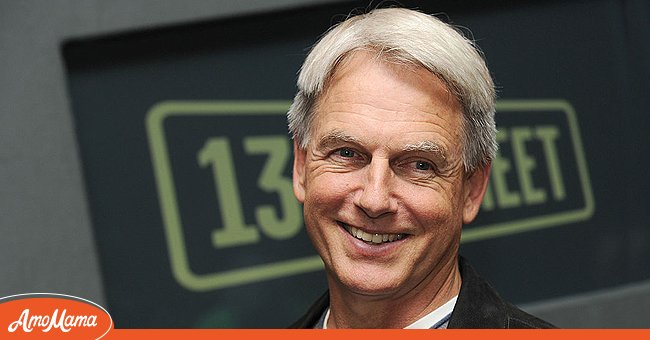 Actor Mark Harmon attends a call at Bayerischen Hof on May 25, 2010. |  Photo: Getty Images