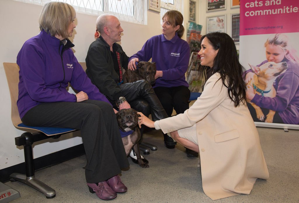 Meghan, Duchess of Sussex meets meets Wully Struthers and his Staffordshire Bull Terriers "Azzy" and "Gallis" during her visit to the animal welfare charity Mayhew in London on January 16, 2019. | Source: Getty Images