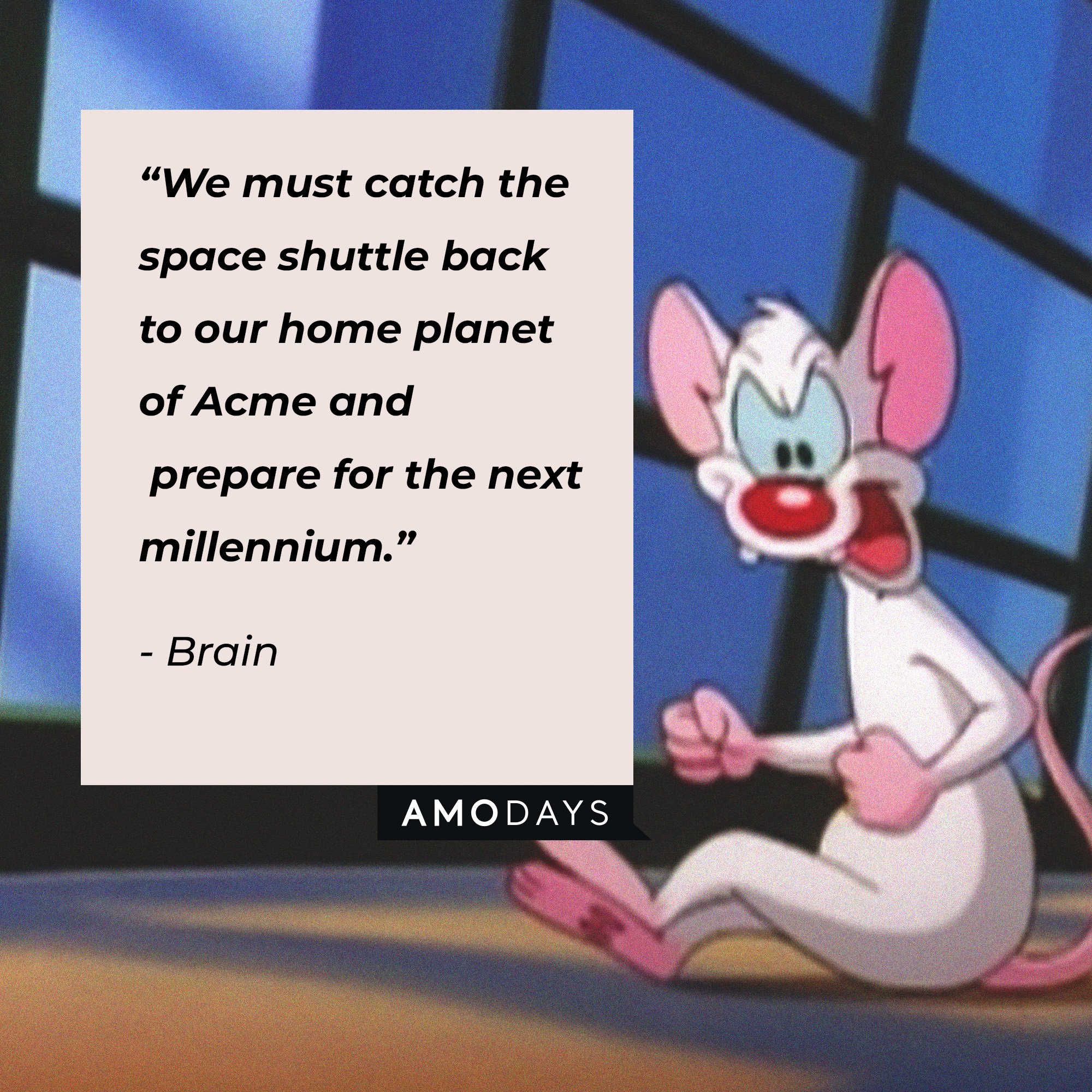 Brain's quote: “We must catch the space shuttle back to our home planet of Acme and prepare for the next millennium.” | Image: AmoDays