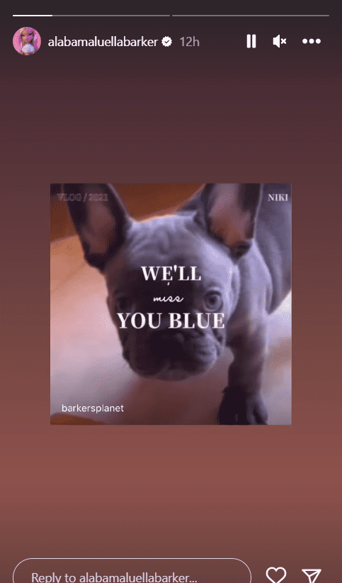 Alabama Barker's Instagram Story photo of her late dog Yung Blue Dawg in November 2022 | Source: Instagram/alabamaluellabarker