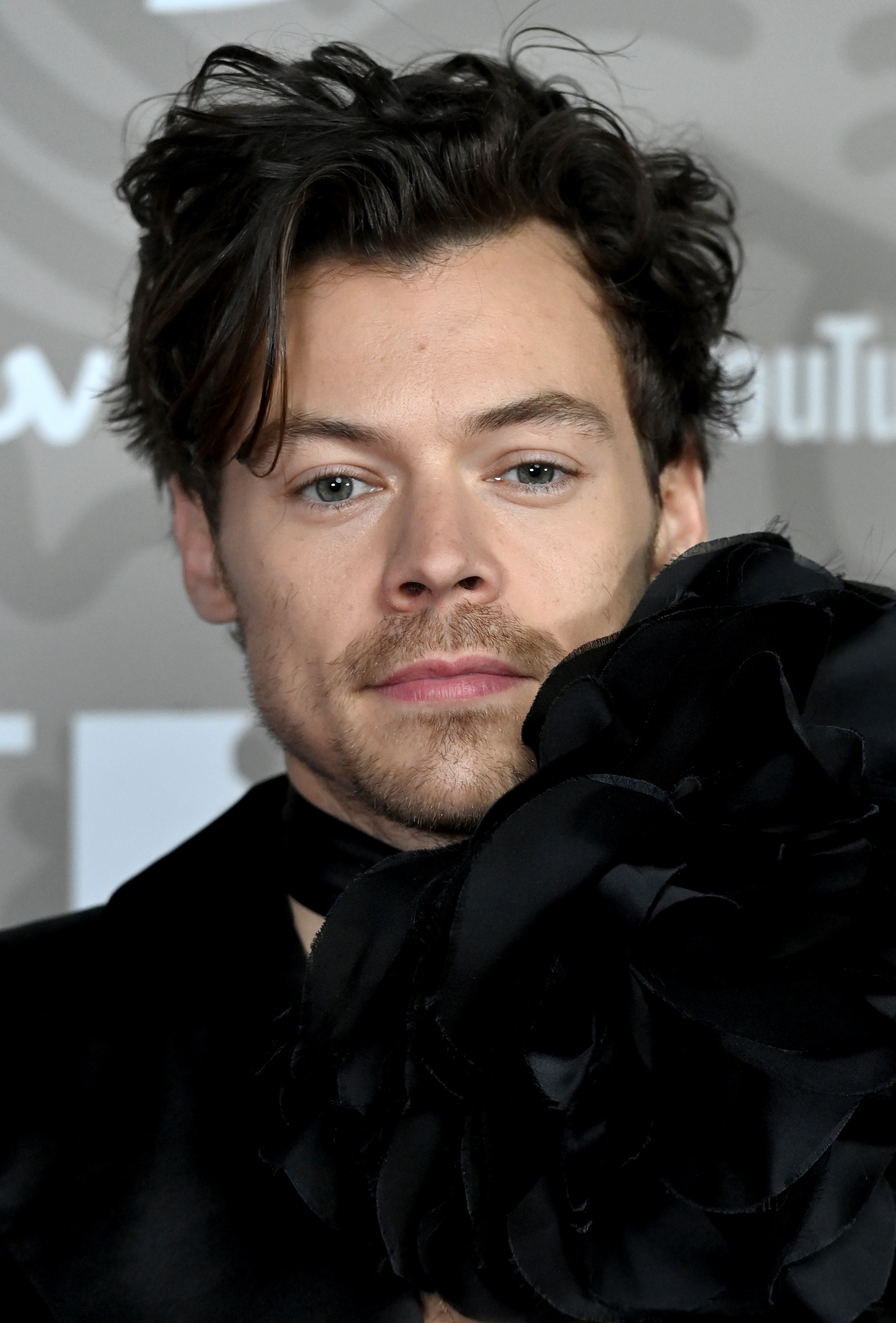 Harry Styles | Source: Getty Images