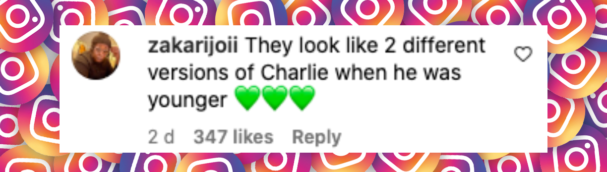 Fan comment about Charlie Sheen's twin boys, posted on August 21, 2024 | Source: Instagram/people