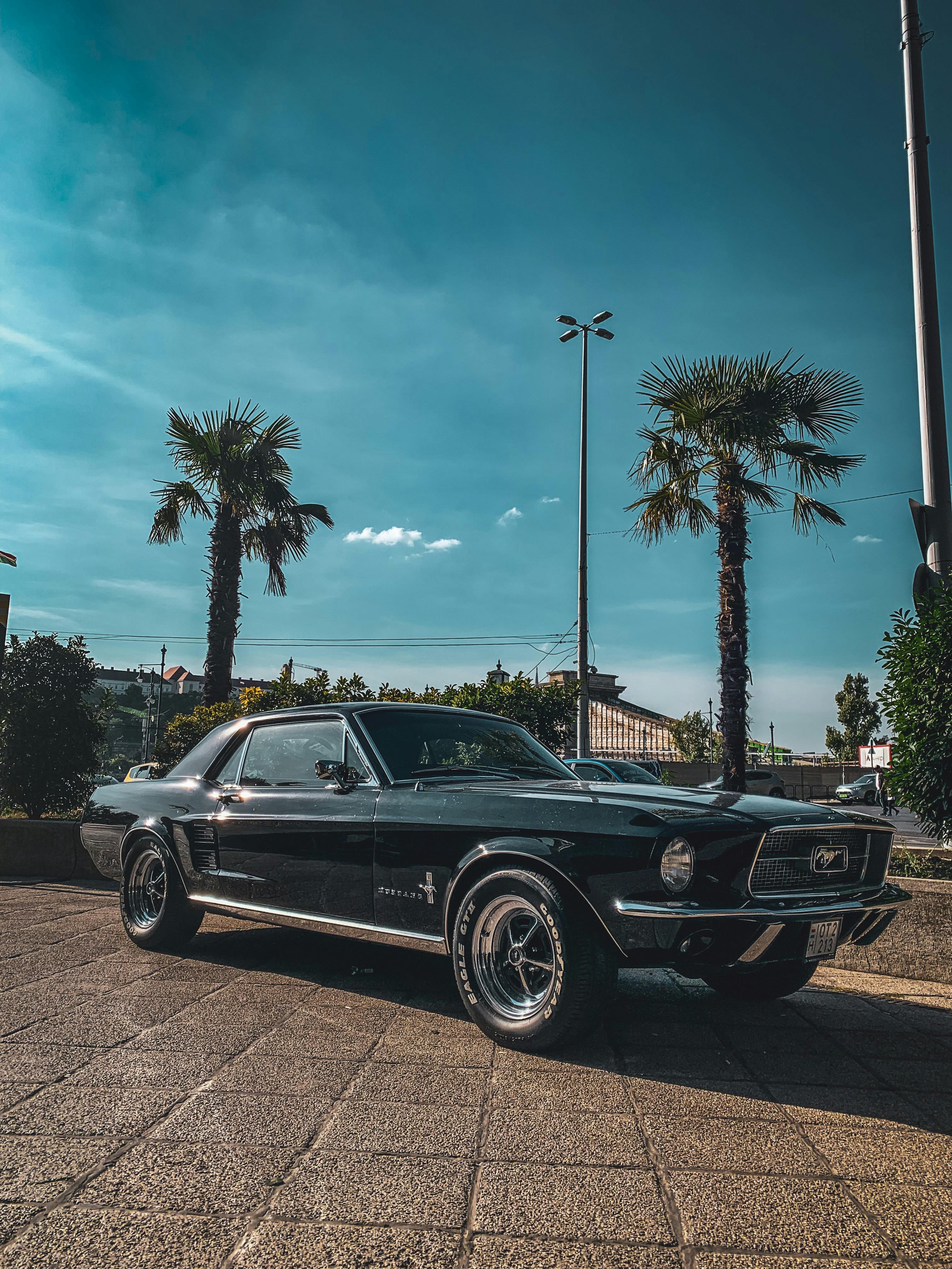 A classic mustang | Source: Pexels