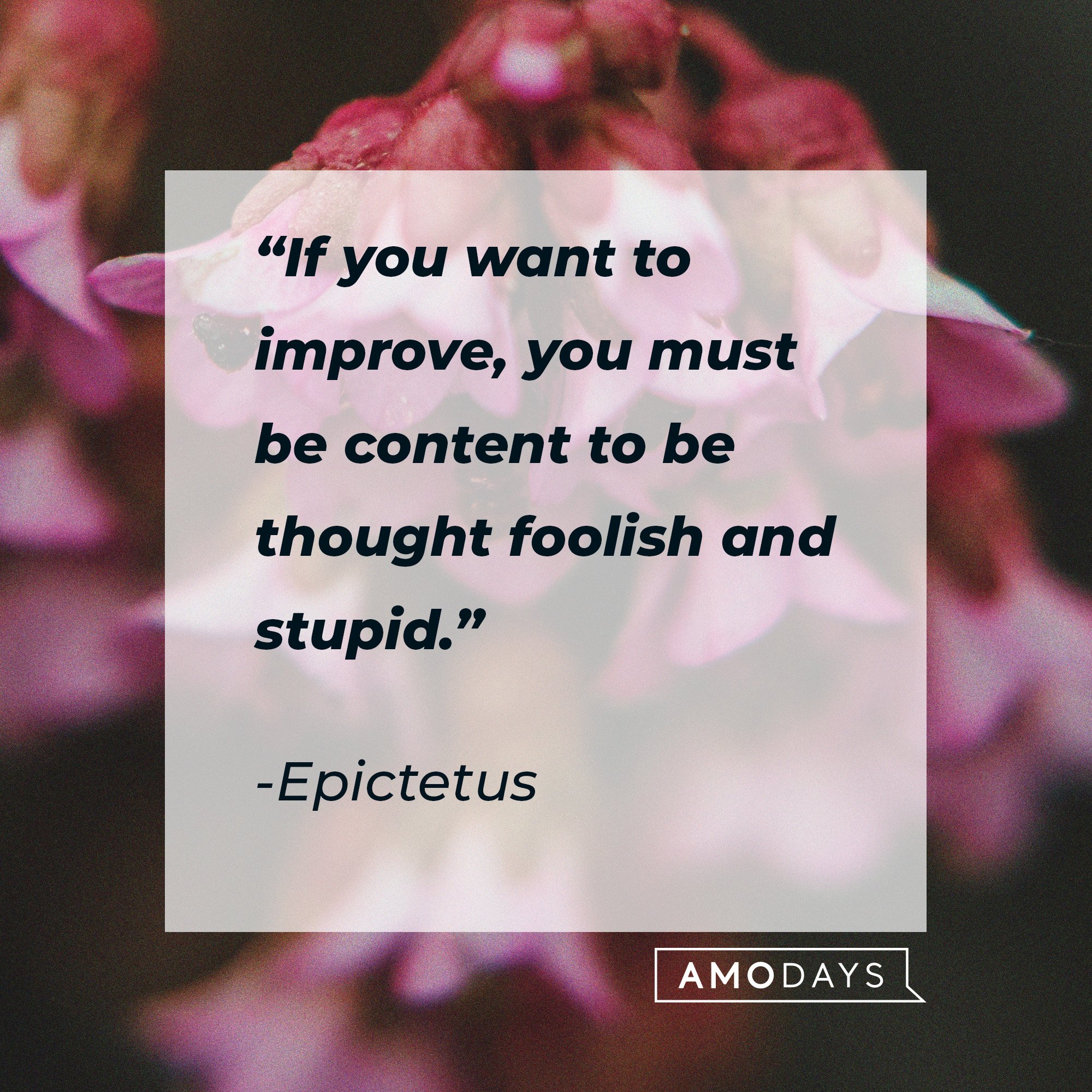  Epictetus's quote: “If you want to improve, you must be content to be thought foolish and stupid.” | Image: AmoDays