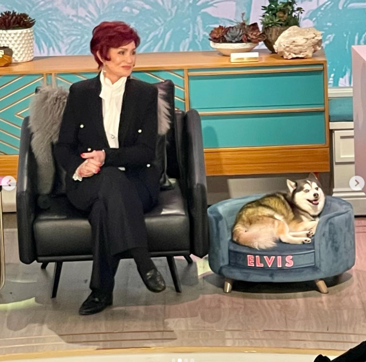 Sharon Osbourne sits beside Elvis, who relaxes comfortably in his own custom chair, as posted on October 19, 2025 | Source: Instagram/sharonosbourne