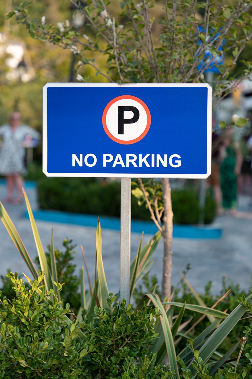 A no-parking sign | Source: Pixabay