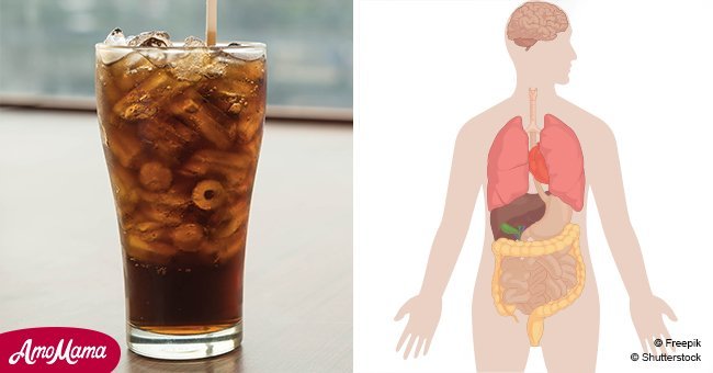Here's what happens to your body if you stop drinking diet soda, according to a doctor
