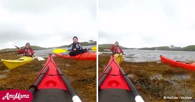 Amazing video shows kayakers rescuing dolphin trapped in seaweed