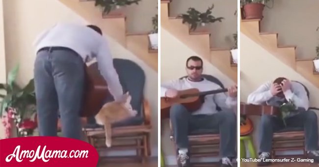 The owner threw his cat from his chair, but you must see how the cat avenged him