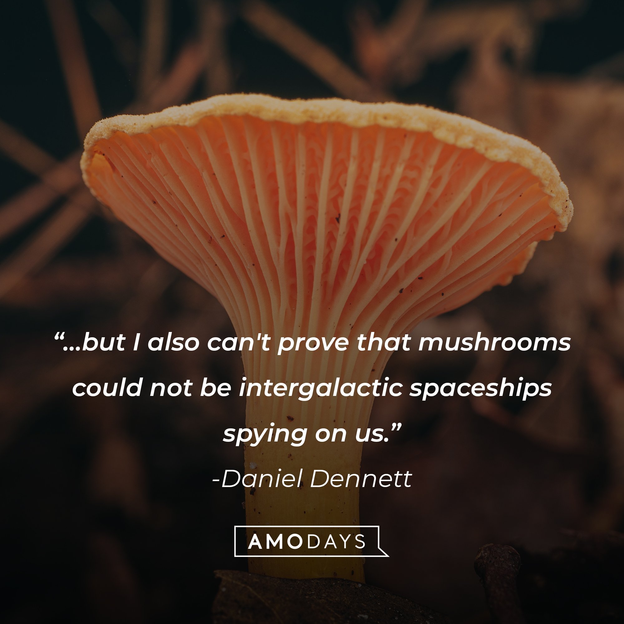 Daniel Dennett’s quote: "…but I also can't prove that mushrooms could not be intergalactic spaceships spying on us.” | Image: AmoDays