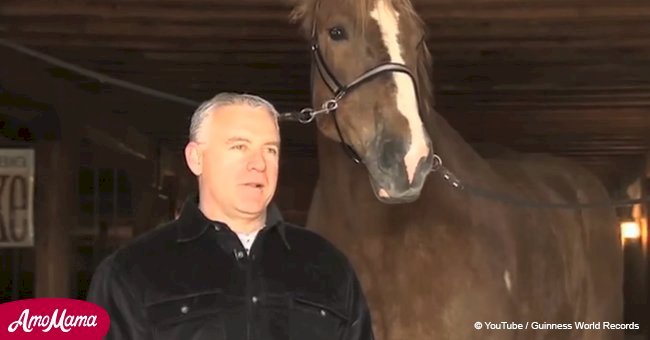 Man introduces his horse who won the Guinness World Record (video)