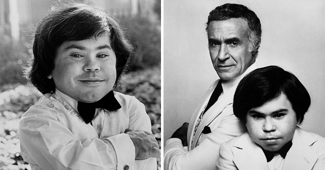 Fantasy Island Series  TV Tropes