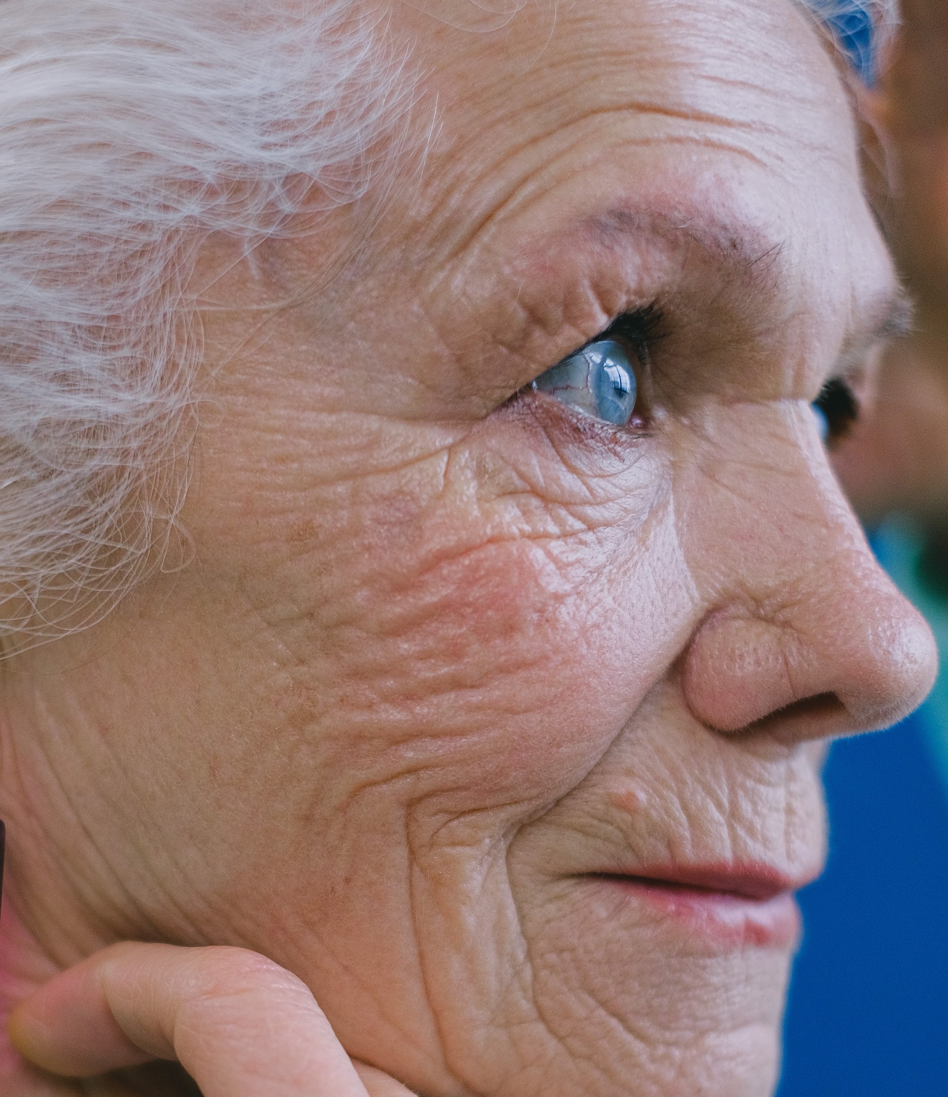 Steve was devoted to the grandmother who raise him. | Source: Pexels