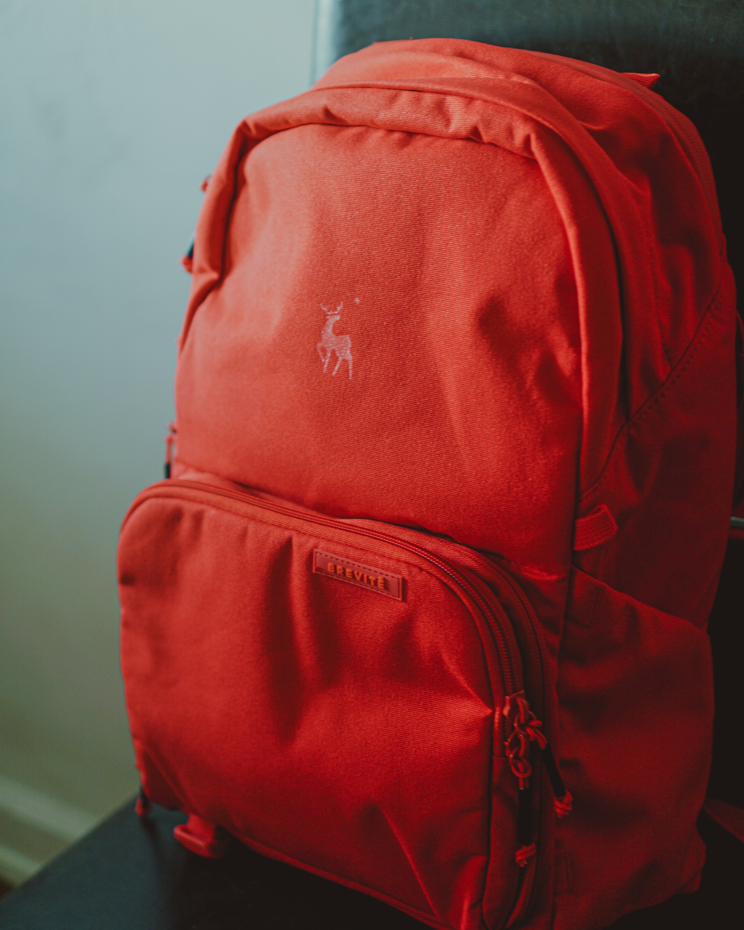 A red backpack | Source: Unsplash
