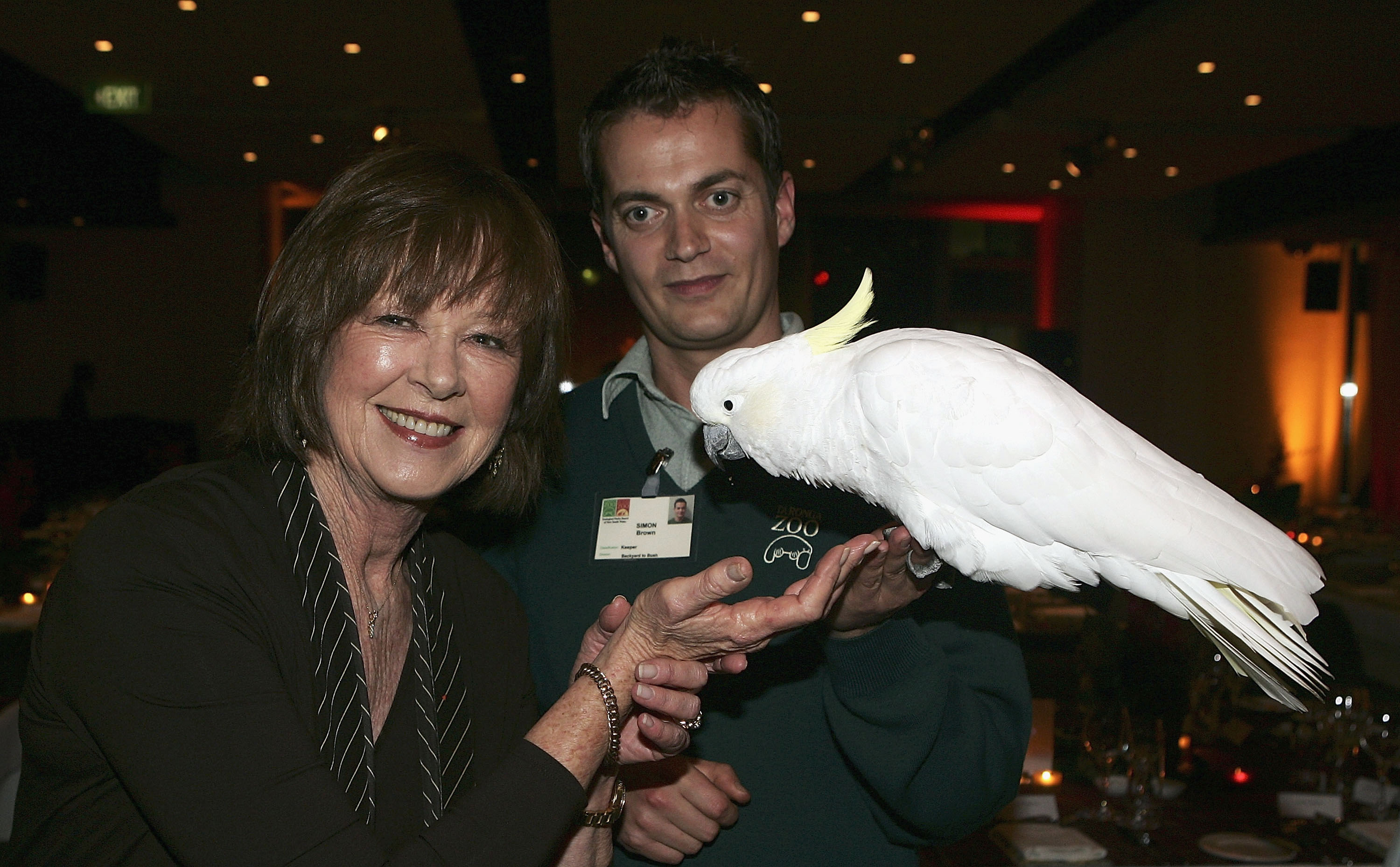 Janelle Anne Kidman tries to feed Elliot the white cockatoo held by zookeeper Simon Brown on June 30, 2005, in Sydney, Australia | Source: Getty Images