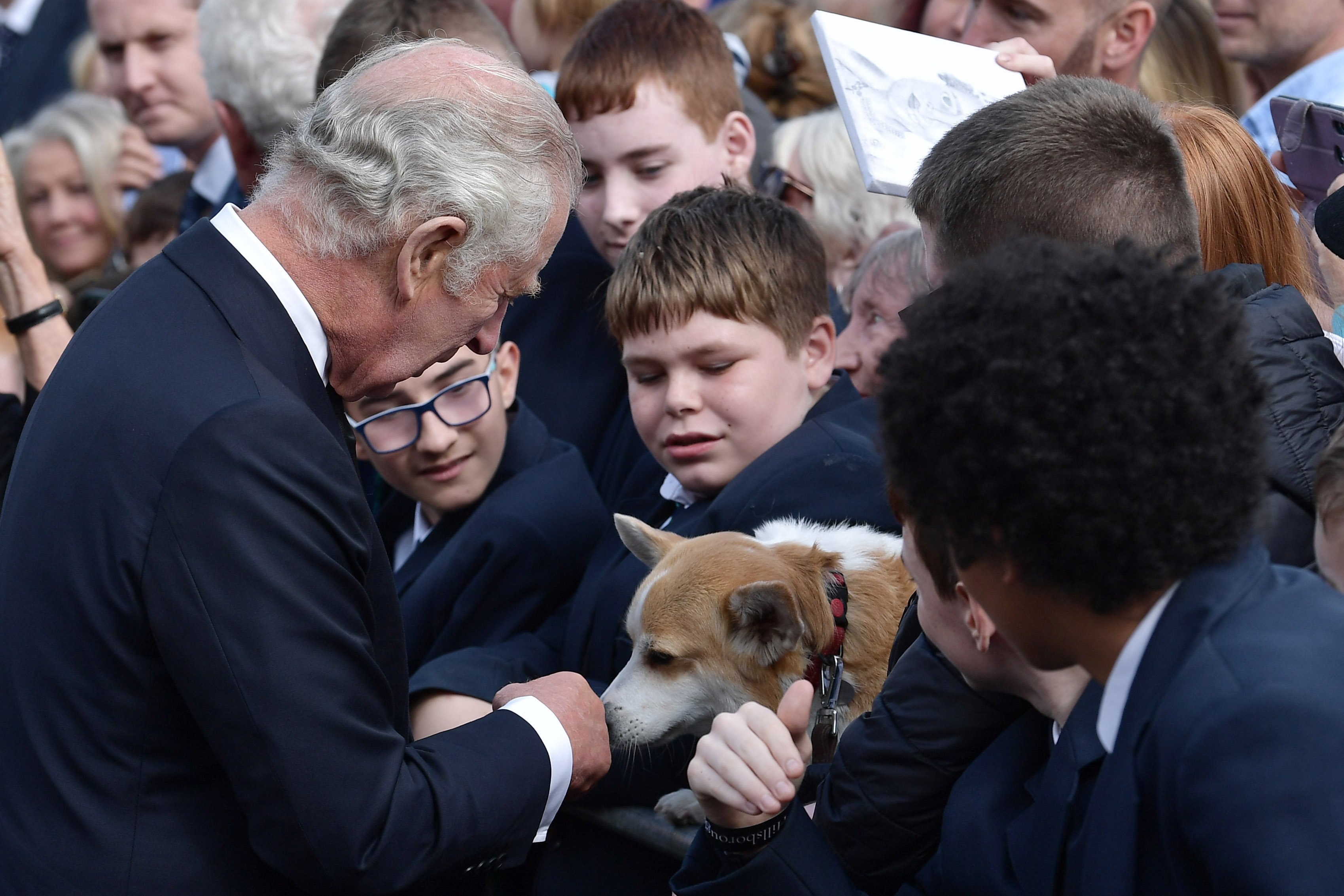 King Charles III greeting well-wishers in Northern Ireland in 2022. | Source: Getty Images 