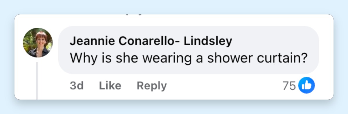A netizen's comment about Heidi Klum's outift at "The Devil Wears Prada 2" premiere on April 20, 2026 | Source: Facebook/Entertainment Tonight