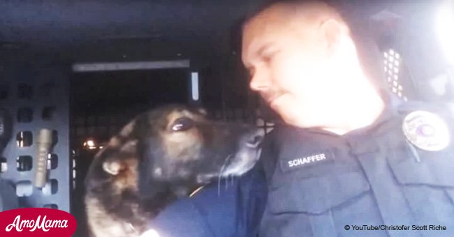 Video shows K-9 officer's official retirement