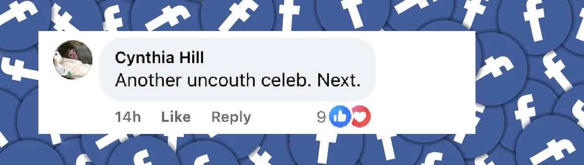 A user comment on Richard Gere, dated November 20, 2024 | Source: Facebook/NYPost