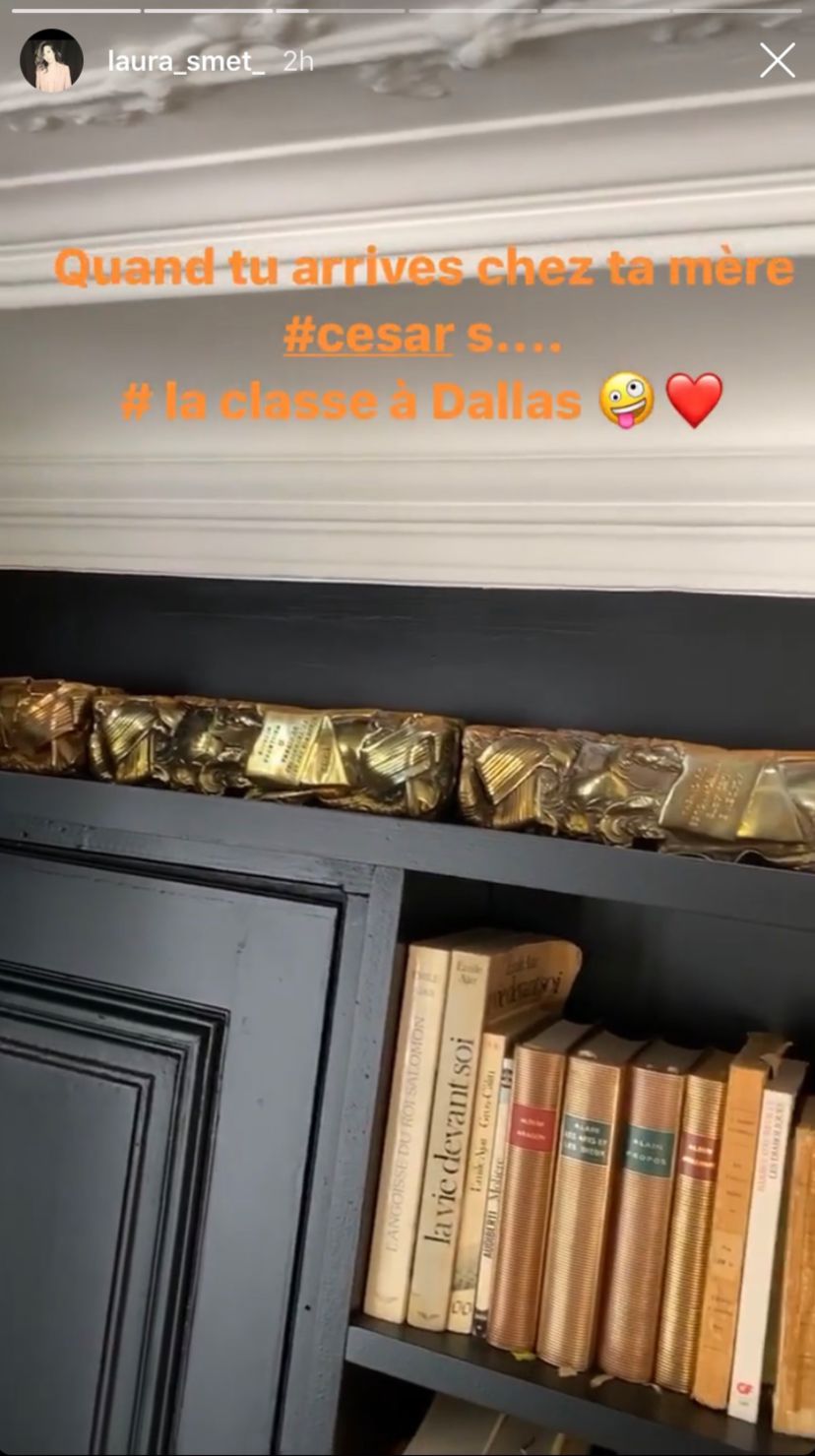Story de Laura Smet montrant la bibliothèque de sa mère. | Photo : Story Instagram/Laura Smet