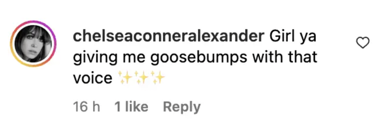 Fan comment dated December 2023 | Source: Instagram/ScoutLaRueWillis