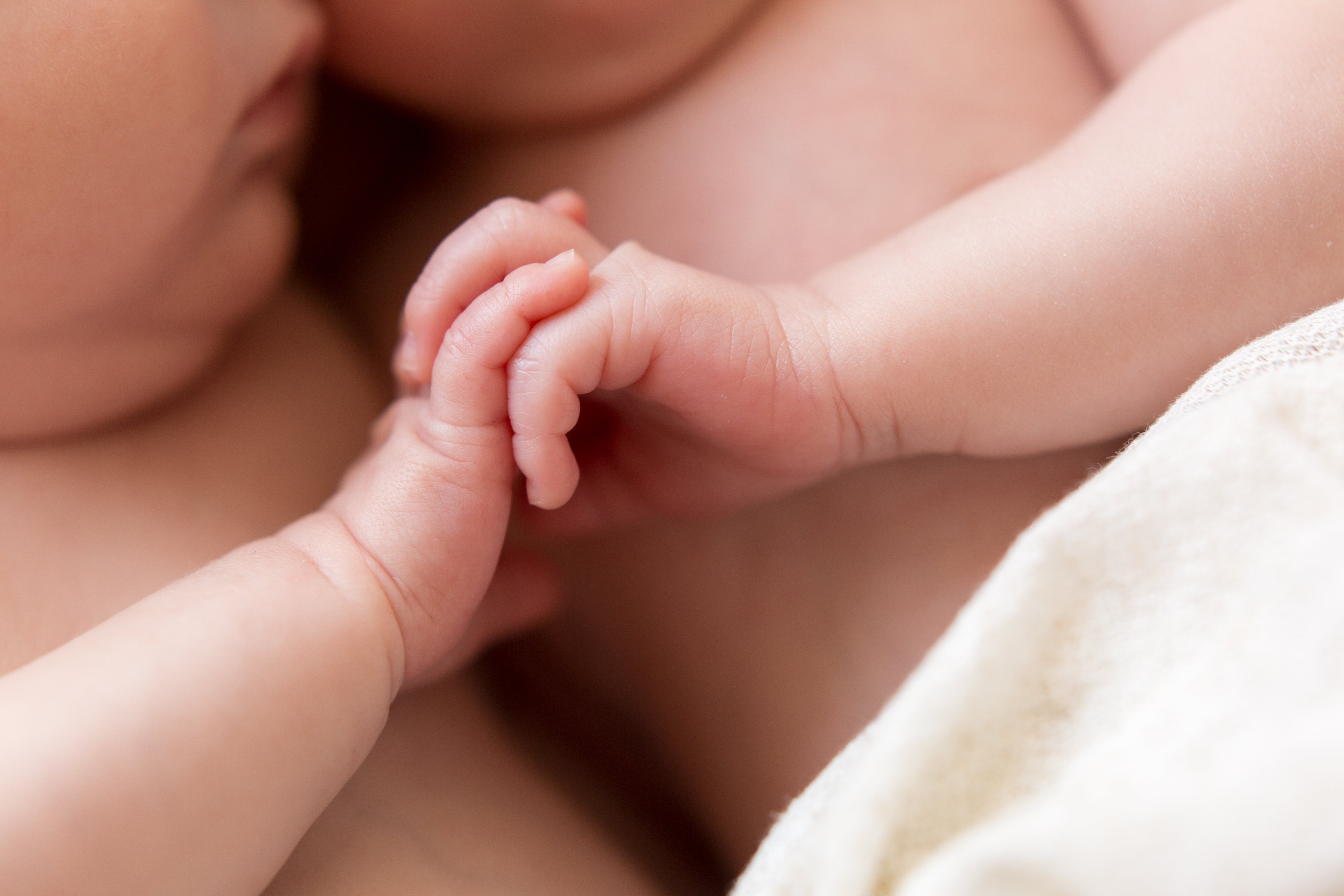 Gemelos recién nacidos se toman de las manos. | Foto: Shutterstock
