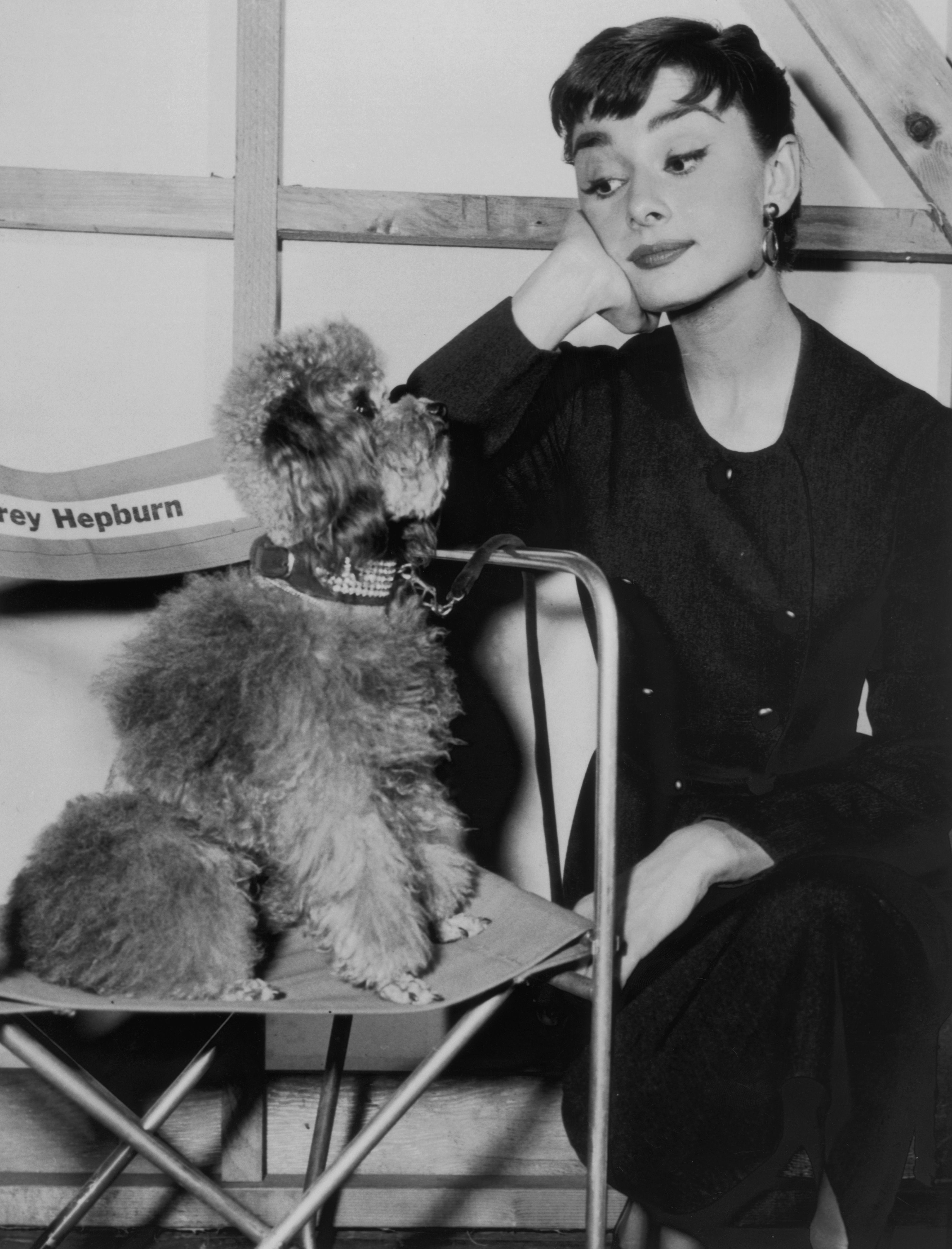 Audrey Hepburn on set with her pet dog, Mr Famous, circa 1960 | Source: Getty Images