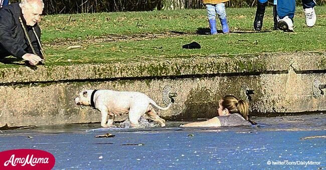Une femme a impressionné les passants en sautant dans les eaux glacées et en sauvant un chien
