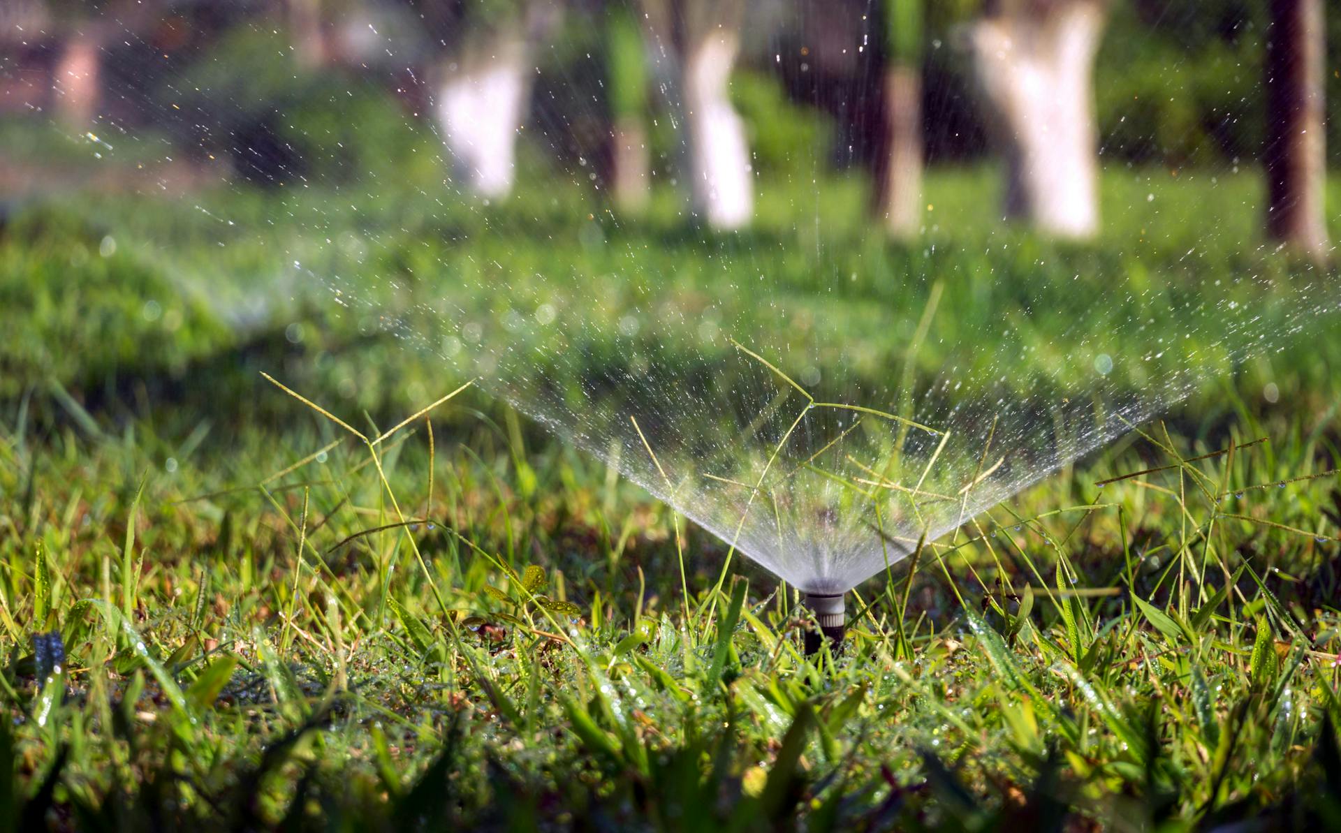 Lawn sprinklers | Source: Pexels