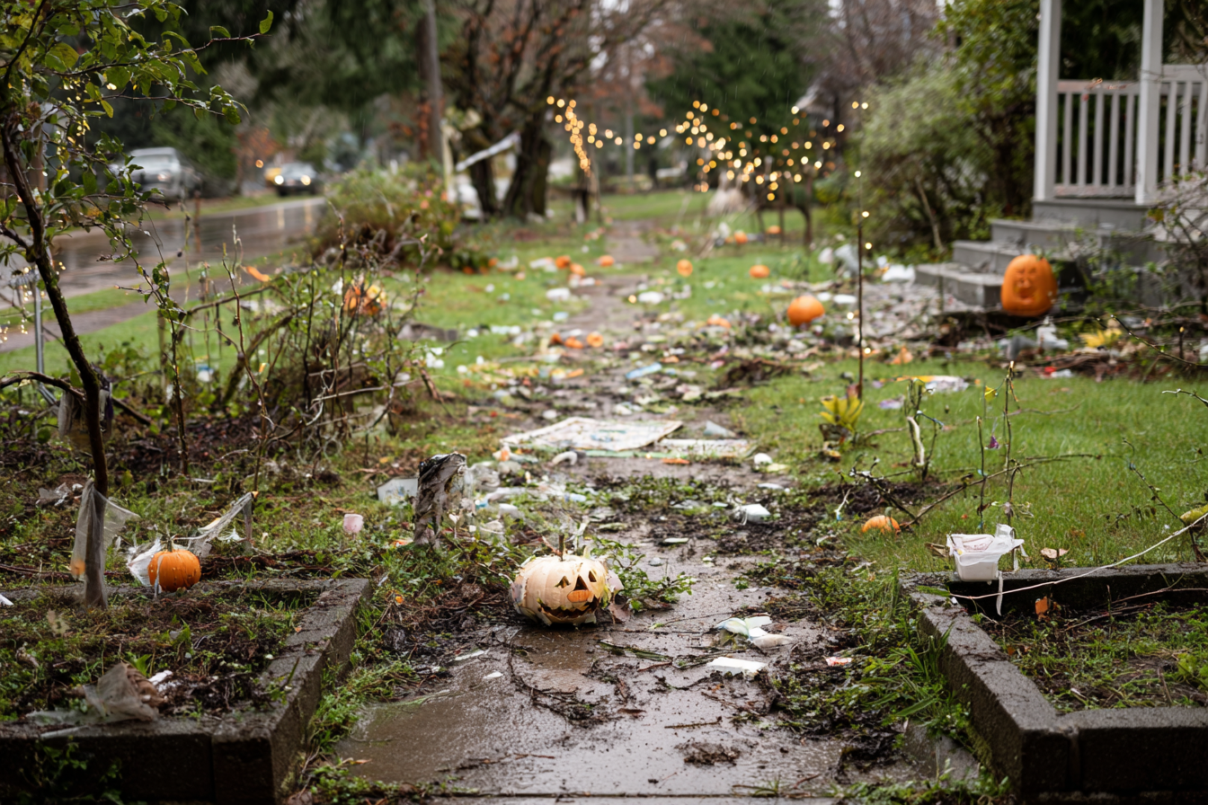 A destroyed front yard | Source: Midjourney