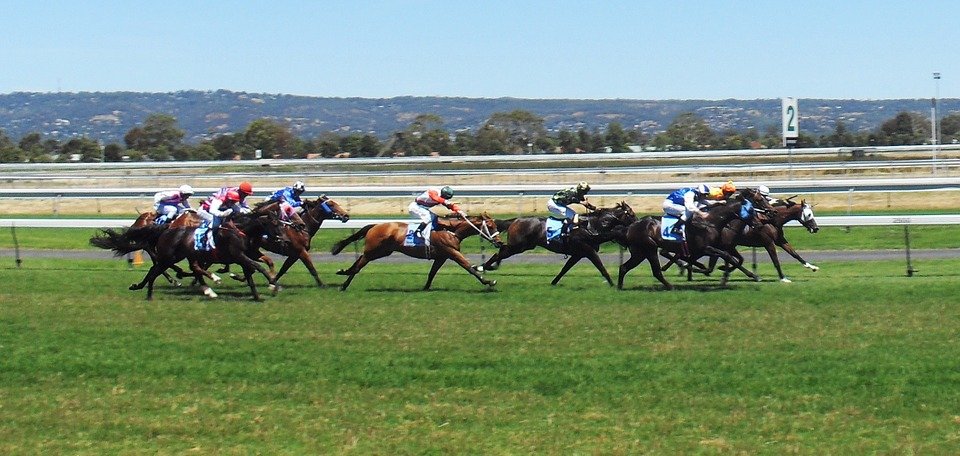 A horse-racing event. | Photo: Pixabay