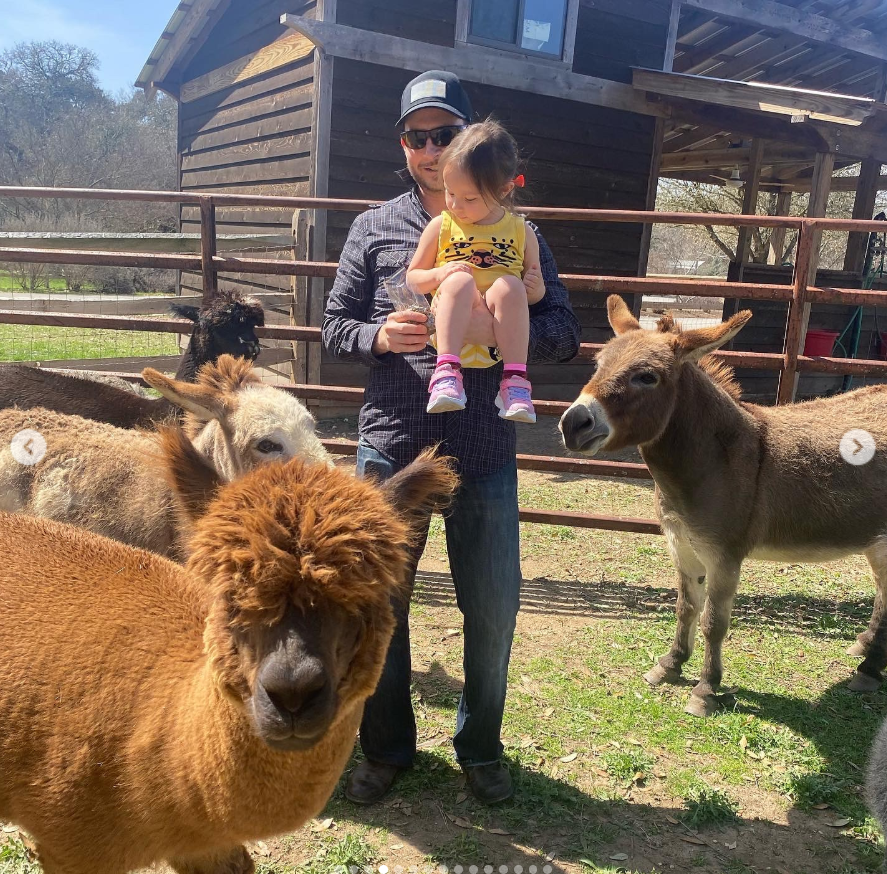 Matthew Mitchell holds his daughter close while surrounded by curious farm animals in a sunny outdoor enclosure. | Source: Instagram/thy_travelers