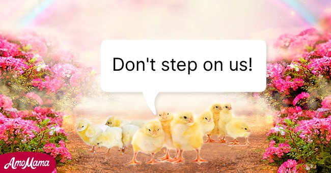 What will happen if they step on a chicken? | Photo: Shutterstock