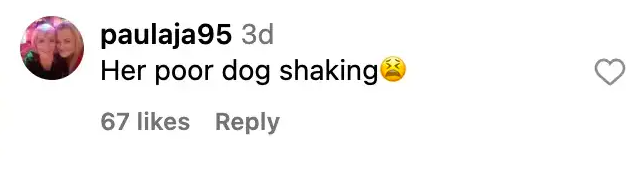 User comment about Demi Moore's dog, dated September 23, 2023 | Source: Instagram/demimoore