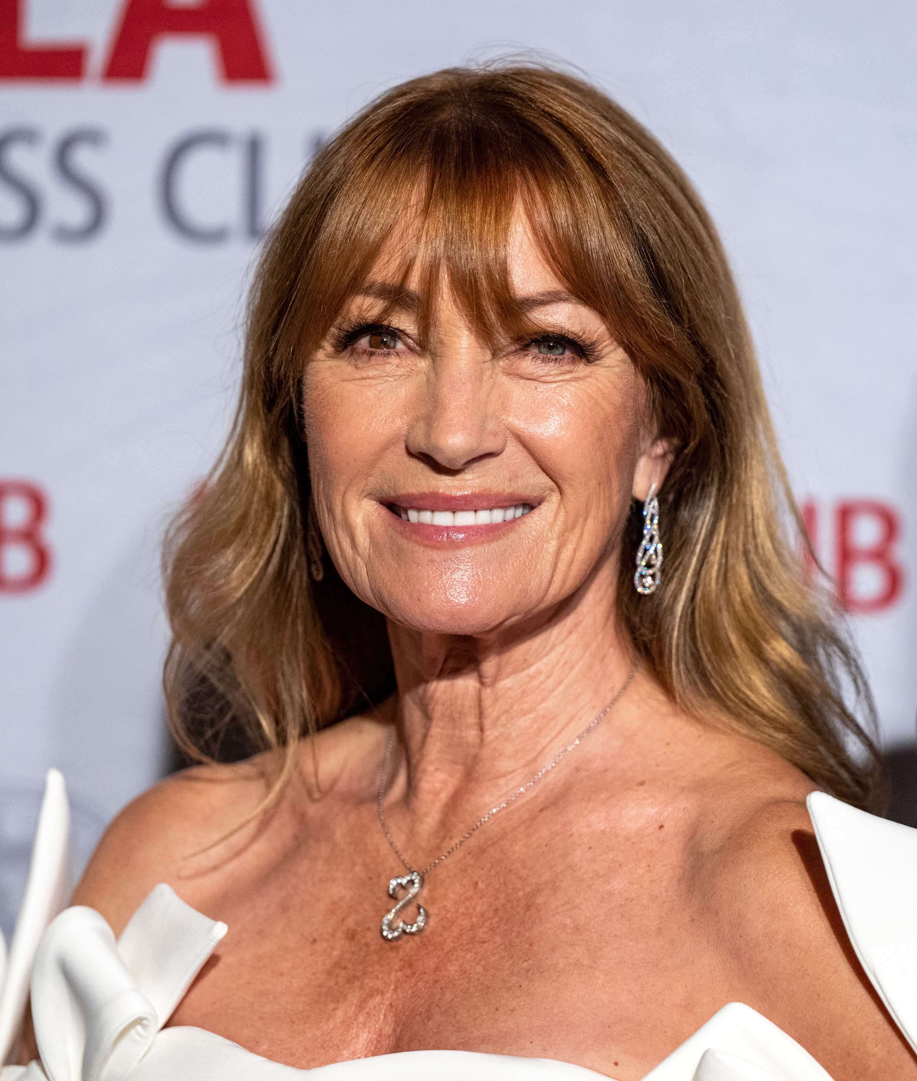 Jane Seymour attends the 66th Annual Southern California Journalism Awards on June 23, 2024, in Los Angeles. | Source: Getty Images