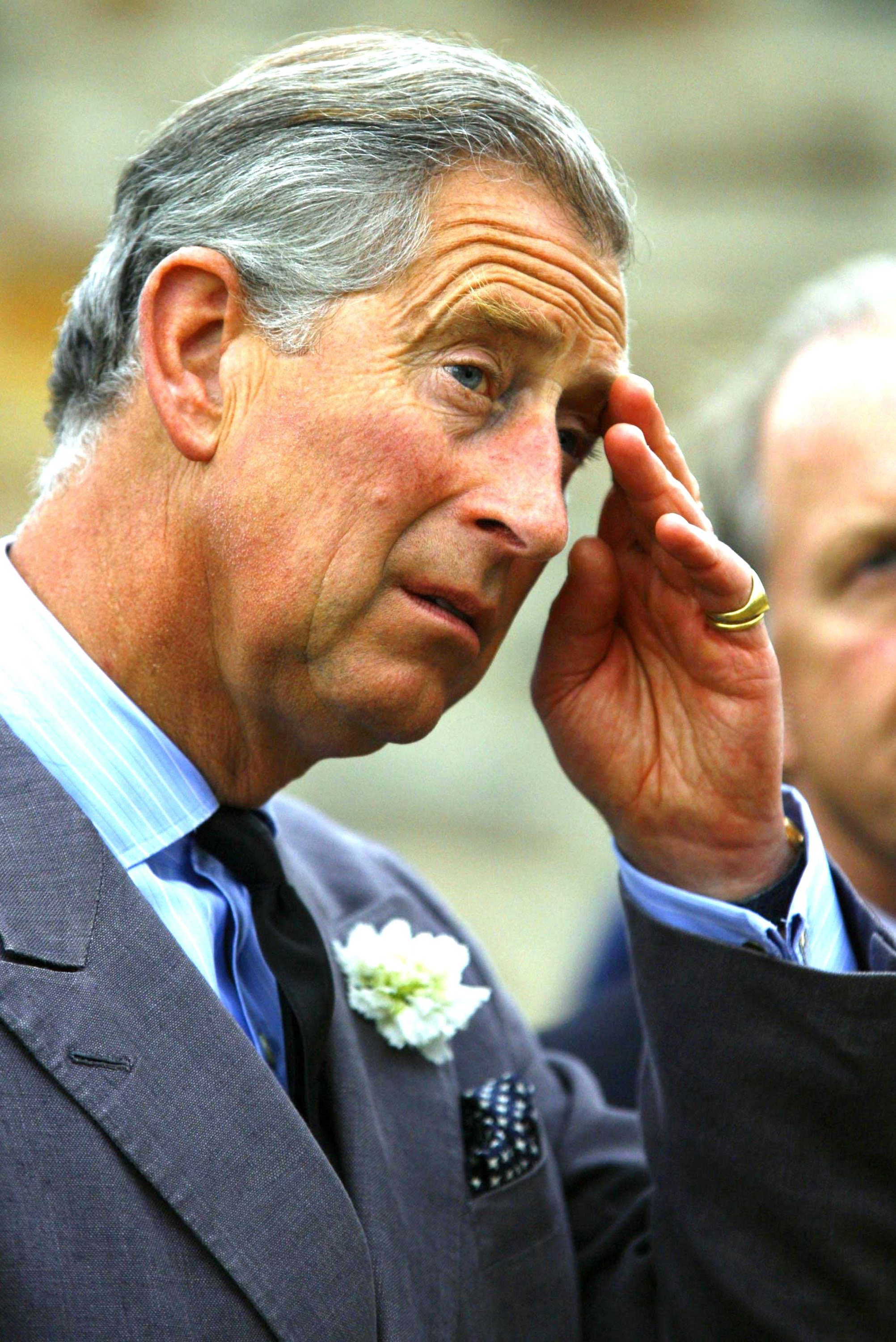 King Charles III visits a housing development in Truro which has been built on land previously owned by The Duchy of Cornwall on June 13, 2006. | Source: Getty Images