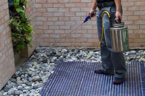 An exterminator spraying chemicals. | Source: Shutterstock.