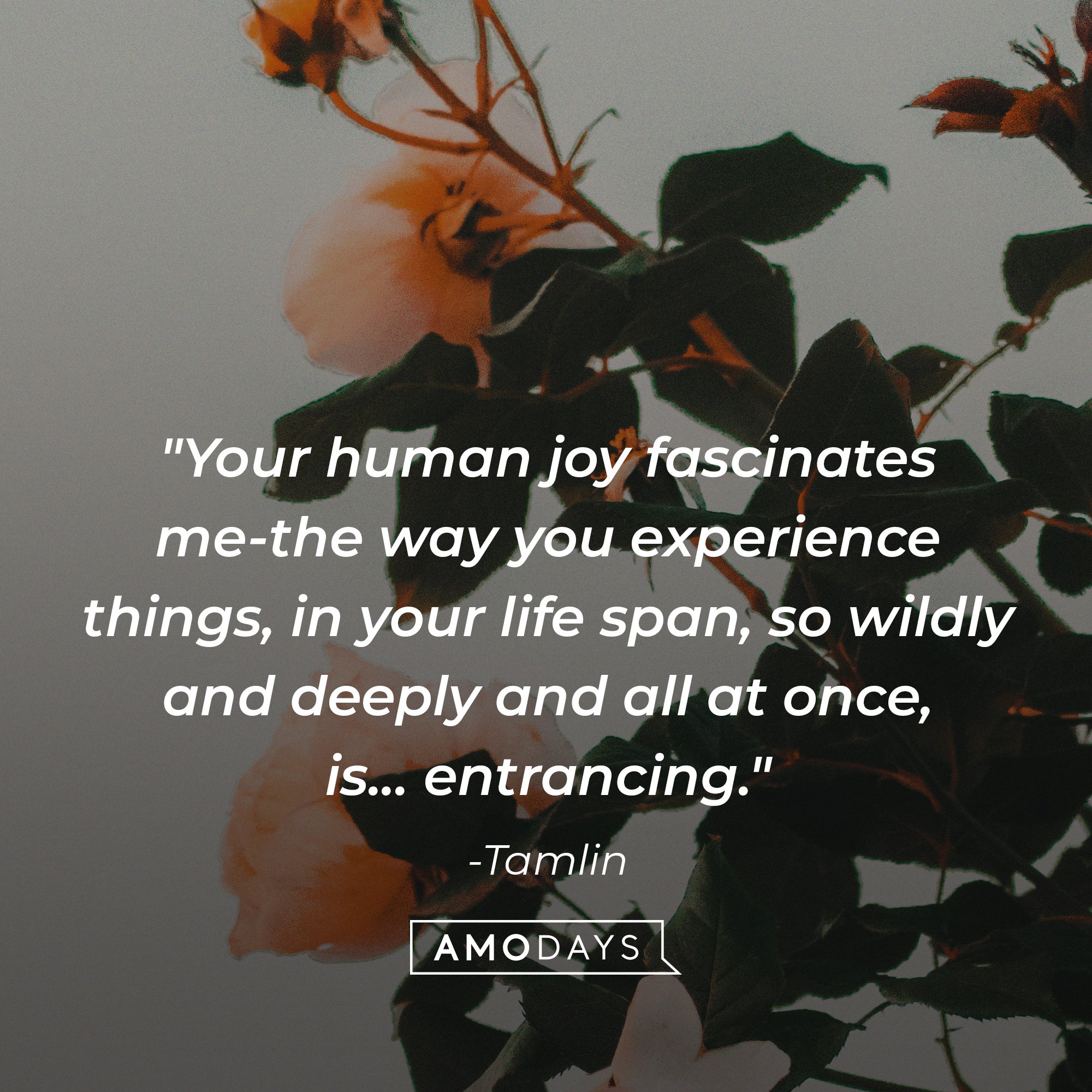 Tamlin‘s quote: "Your human joy fascinates me-the way you experience things, in your life span, so wildly and deeply and all at once, is... entrancing.” | Image: AmoDays