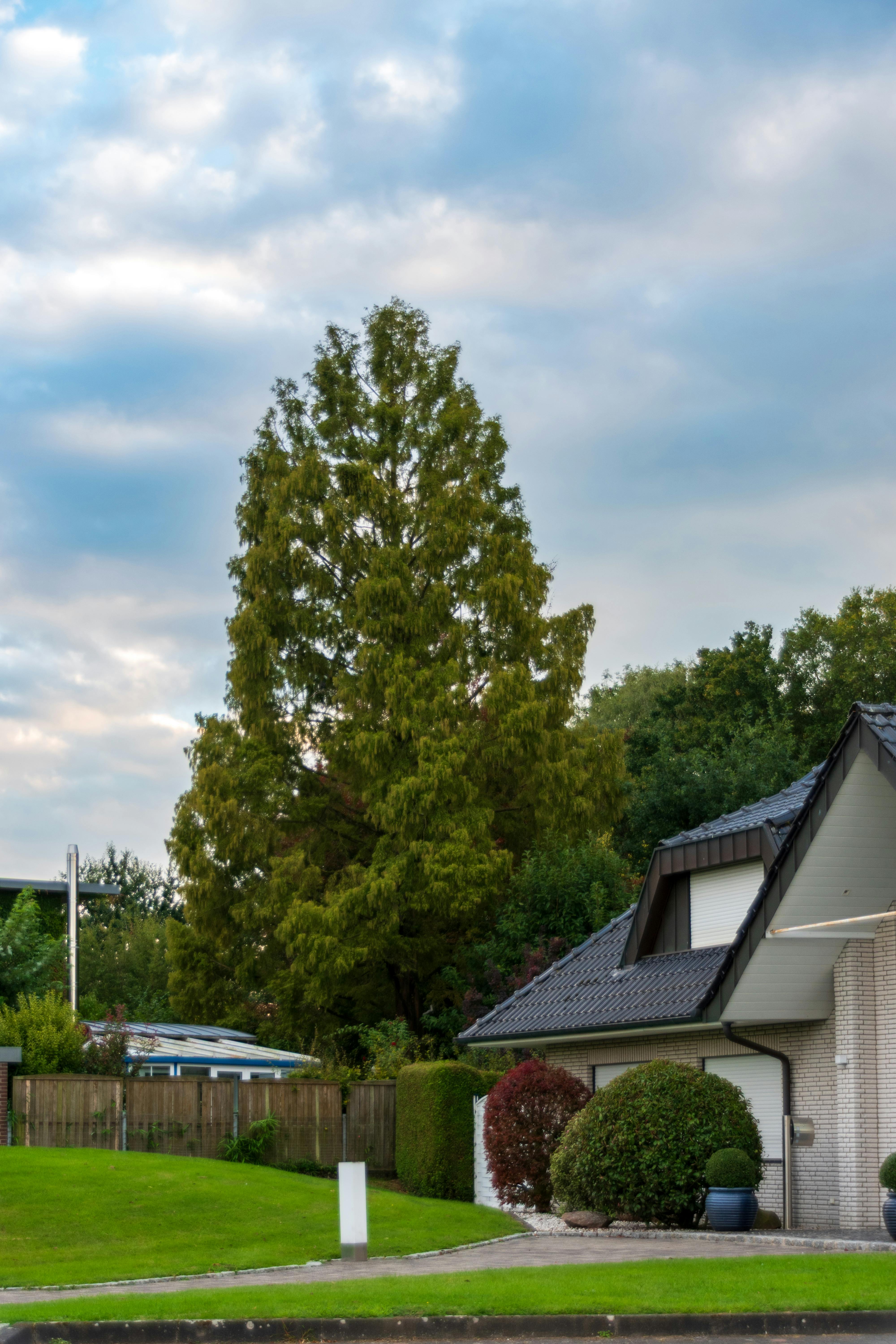 A house in a nice neighborhood | Source: Pexels