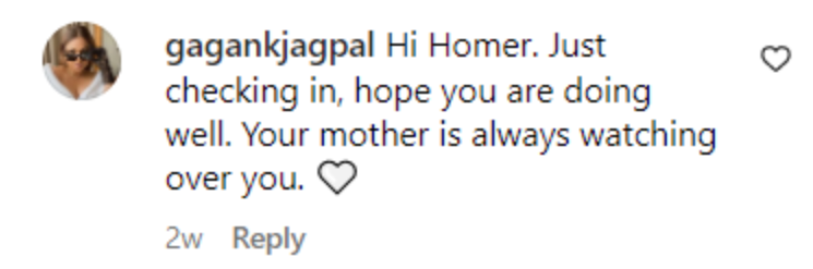 A fan's show of support to Homer on Instagram. | Source: Instagram.com/homerheche
