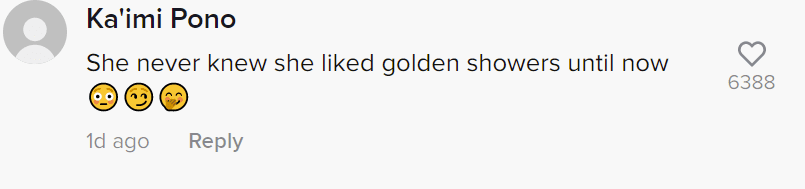 A user's comment on the video of a woman who threw trash on a neighbor's porch. | Photo: tiktok.com/@neighborhood.wars