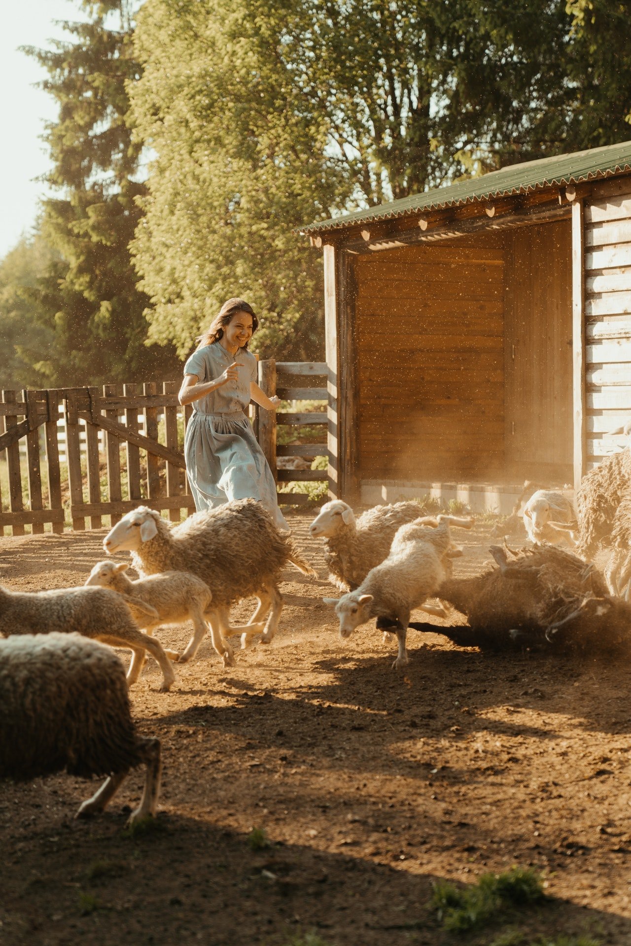 Photo of a lady feeding a farm animal | Photo: Pexels