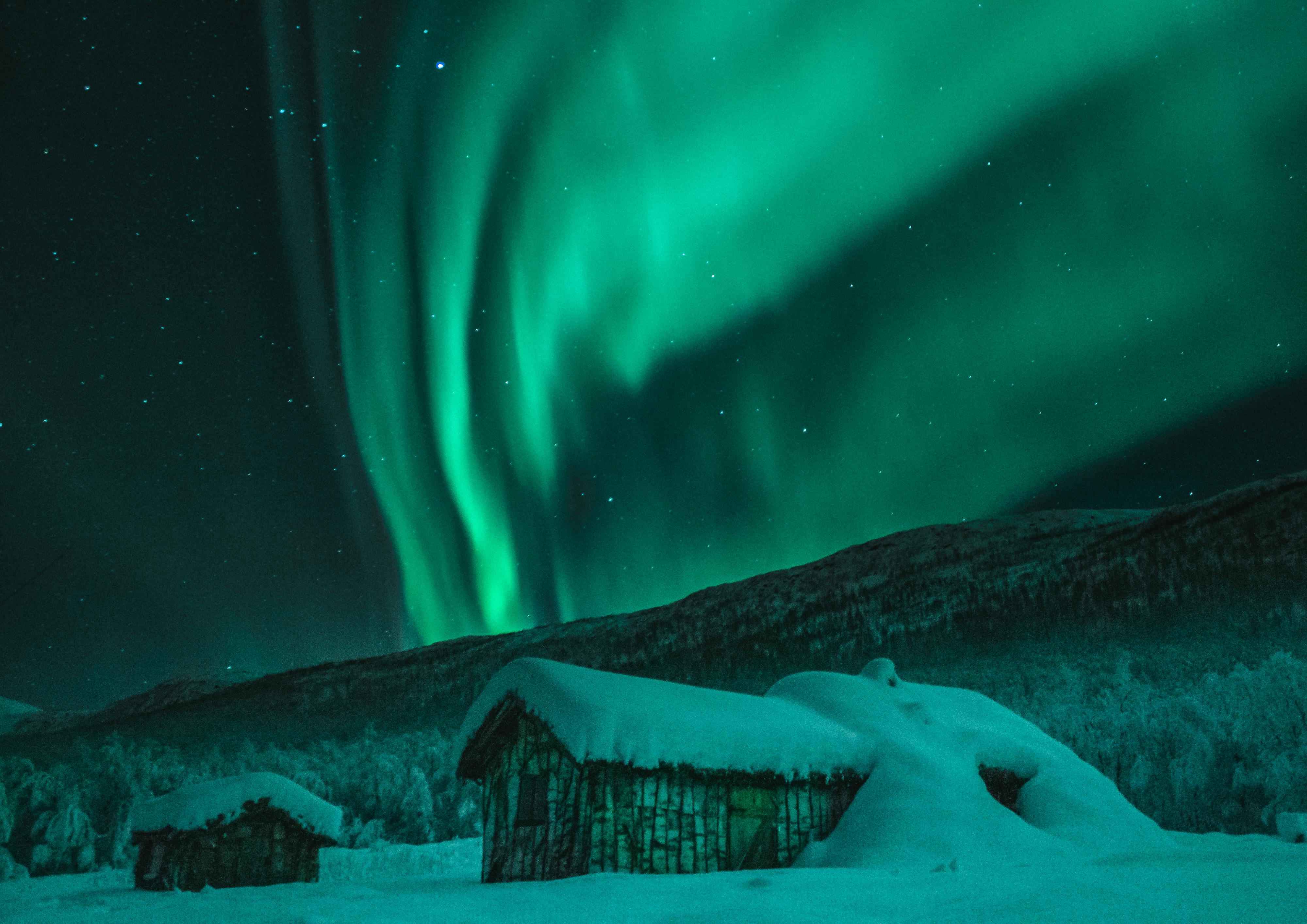 The northern lights | Source: Pexels