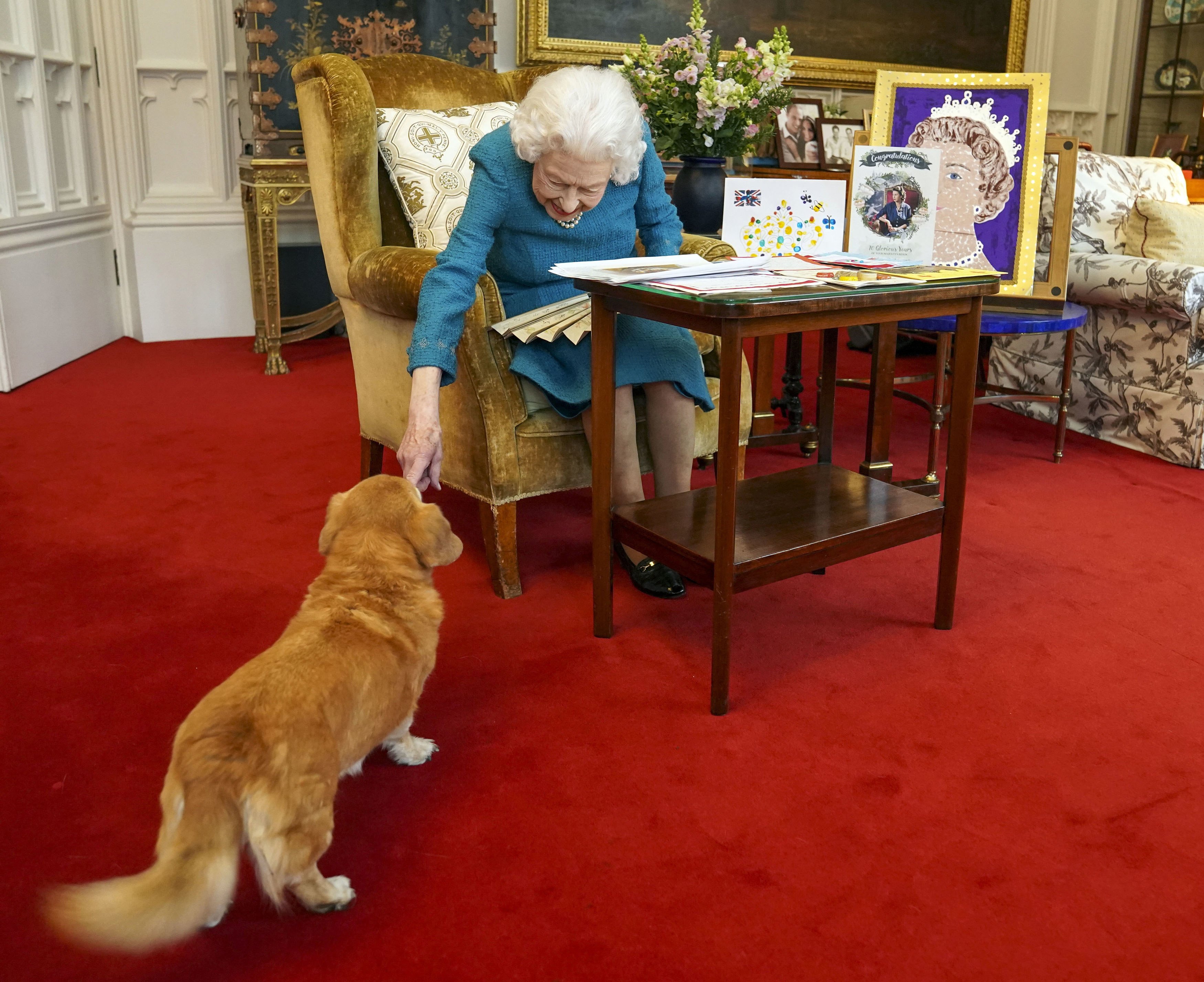 Queen Elizabeth joined by one of her dogs, a Dorgi called Candy in the Oak Room at Windsor Castle on February 4, 2022 in Windsor, England. / Source: Getty Images